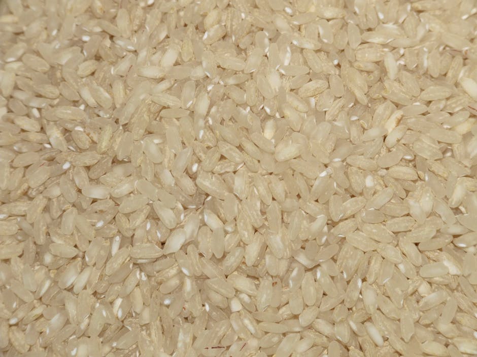 How to dry out a wet mobile phone using rice