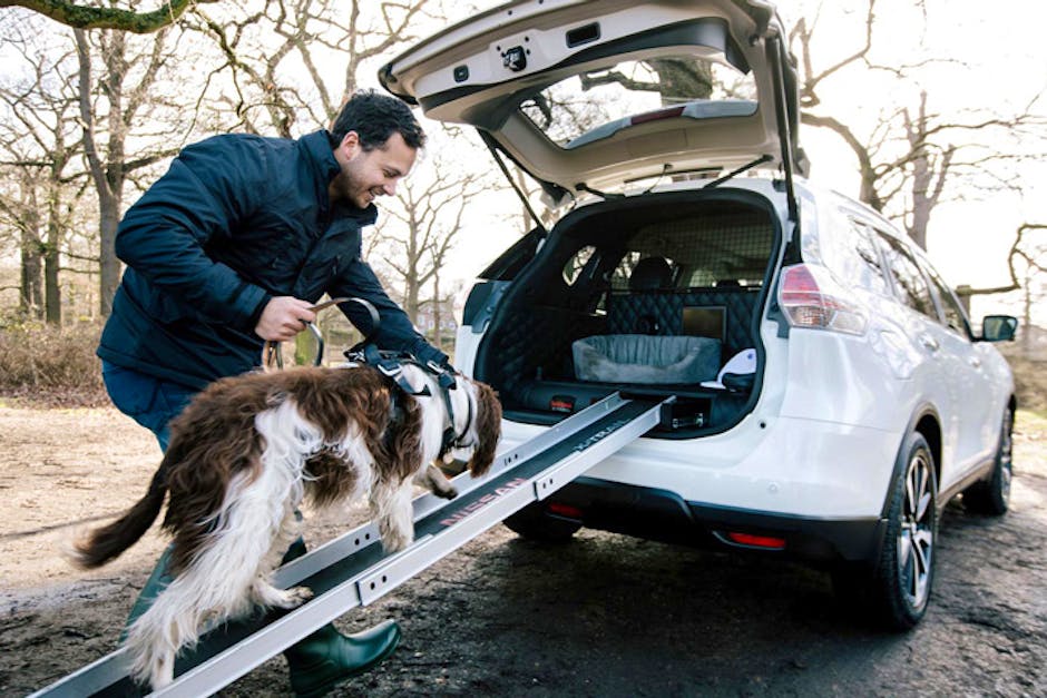 Nissan XTrail 4Dogs concept The ultimate SUV for dog owners?