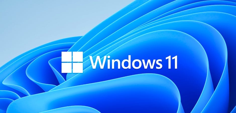 windows 11