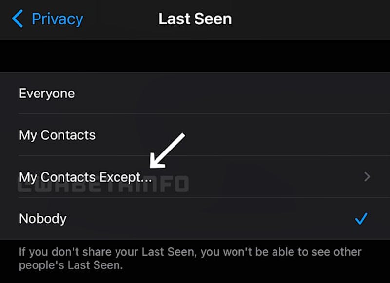 whatsapp last seen new feature