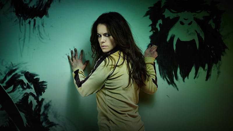 12 monkeys series