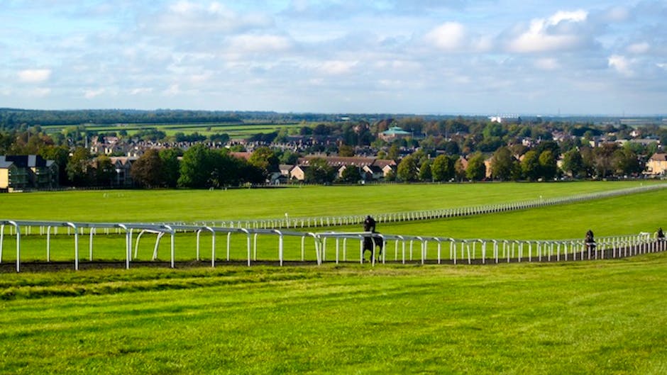 Racing UK unveils payperday on Freeview