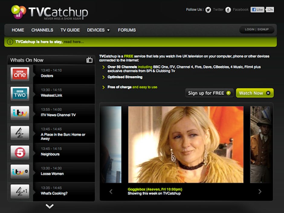 TVCatchUp.com and live TV sites in breach of copyright ...