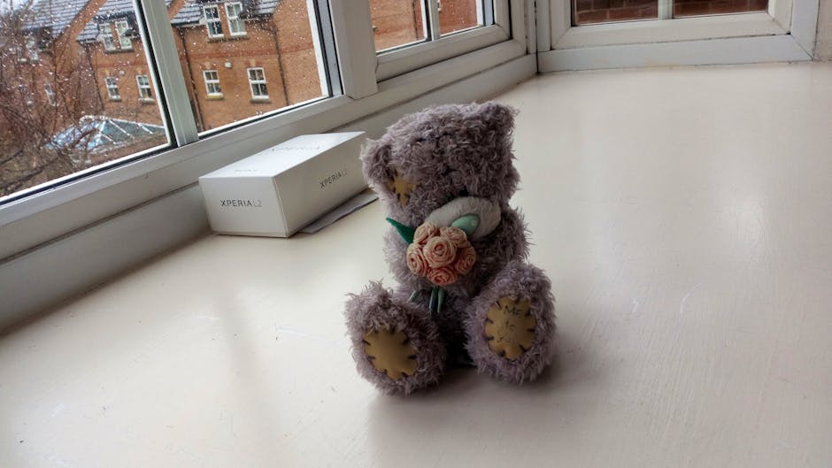 Xperia L2 camera test