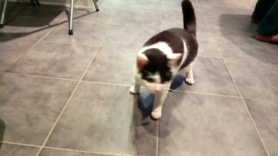 Xperia L2 camera test