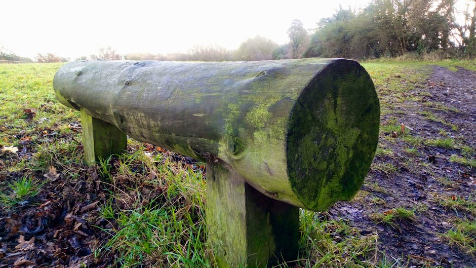 Xperia L2 camera test