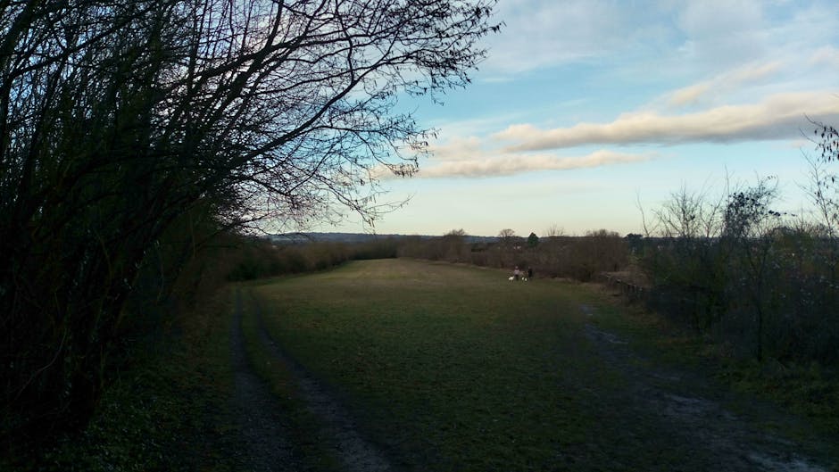 Xperia L2 camera test