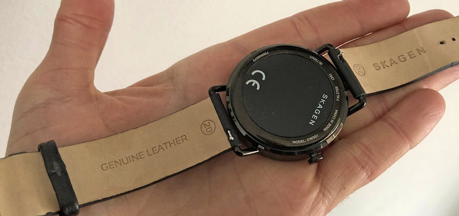 Skagen Falster review