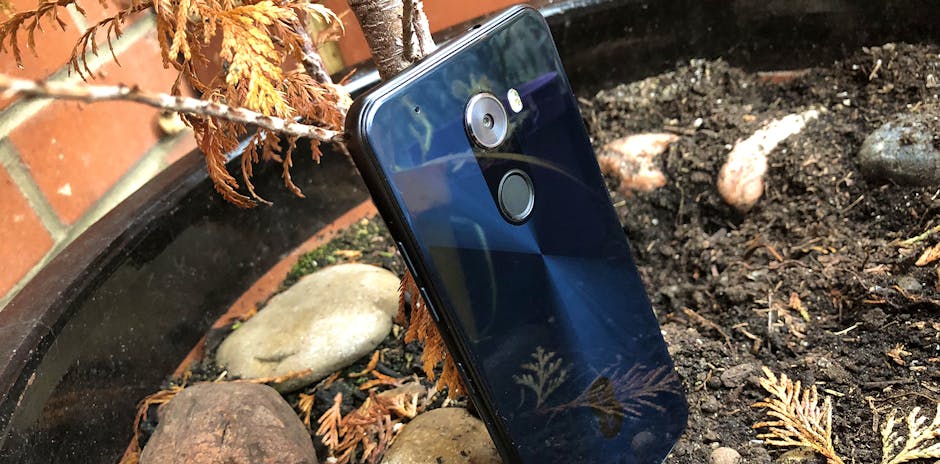 EE Hawk Review 3