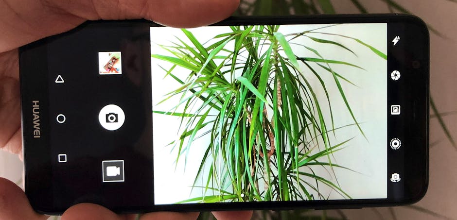 Huawei-P-Smart-Camera-Review-3