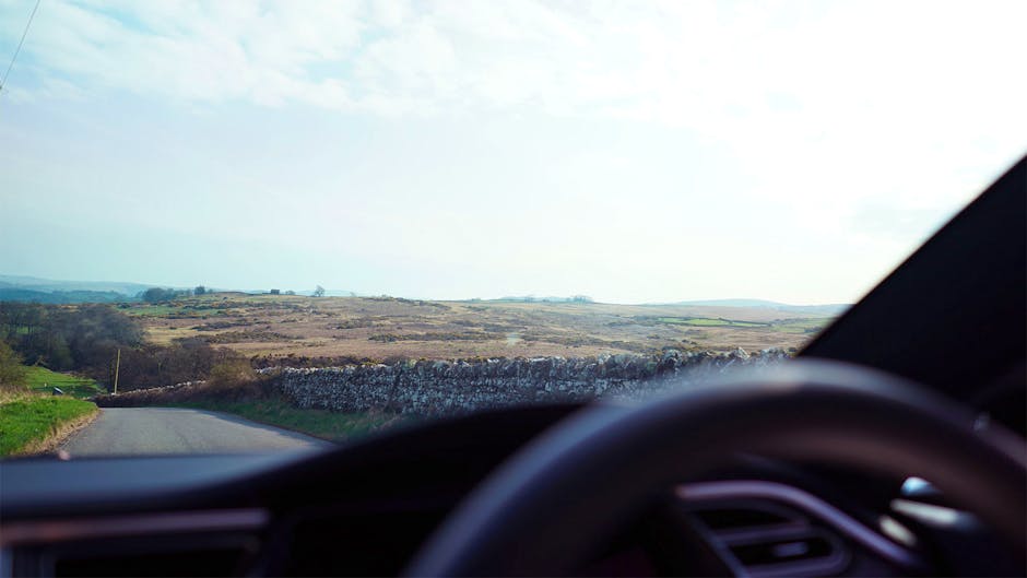 Tesla Model S 100D vistas and scenery