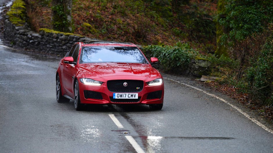 Red cats are faster than blue ones